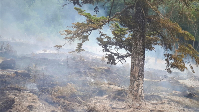 Tanczos Barna avertizează că riscul incendiilor de pădure este extrem de crescut: Fac apel la sporirea numărului de patrule Romsilva