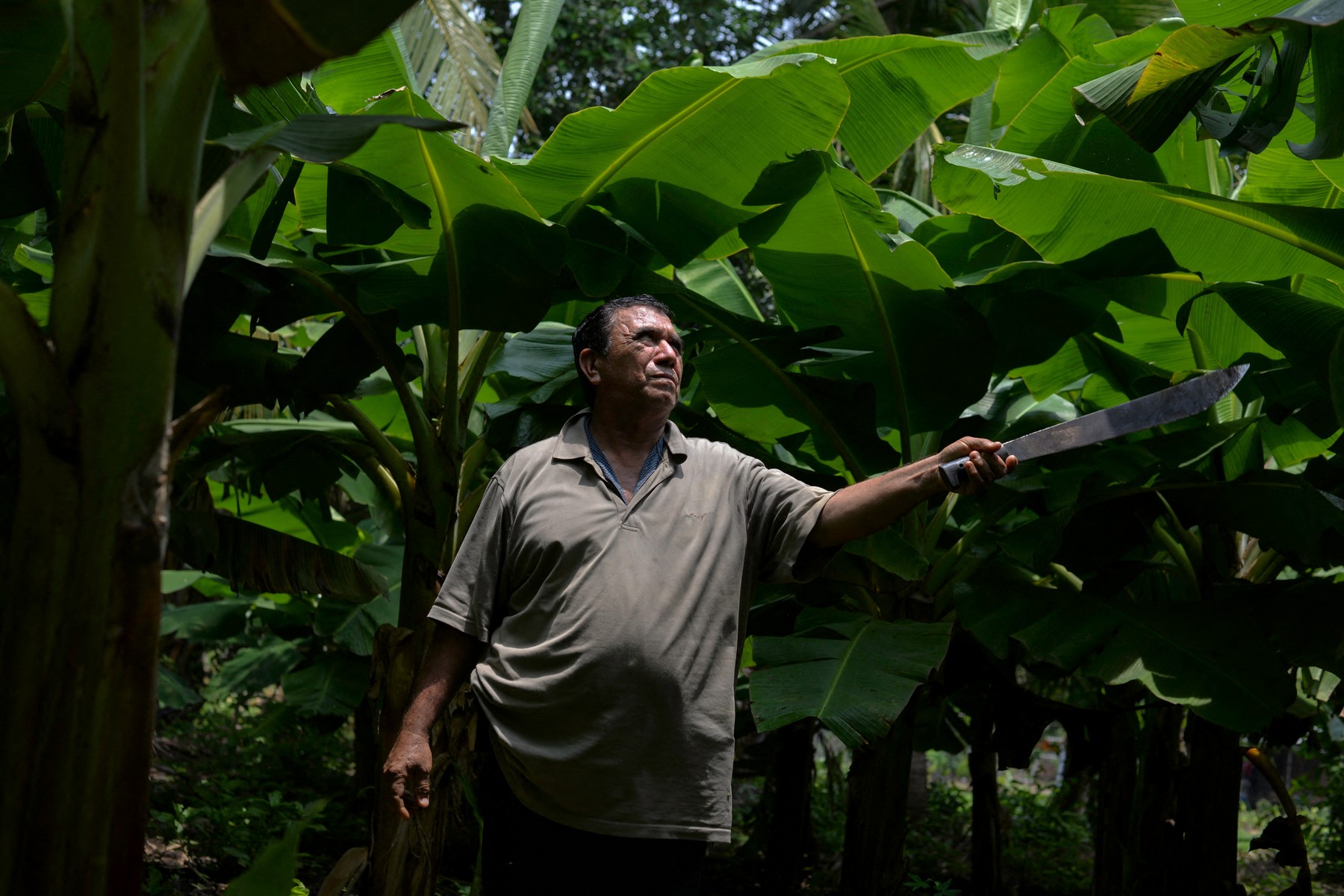 Pesticidele le-au răpit șansa de a avea copii. Zeci de mii de culegători de banane dau vina pe marile companii americane (BBC)