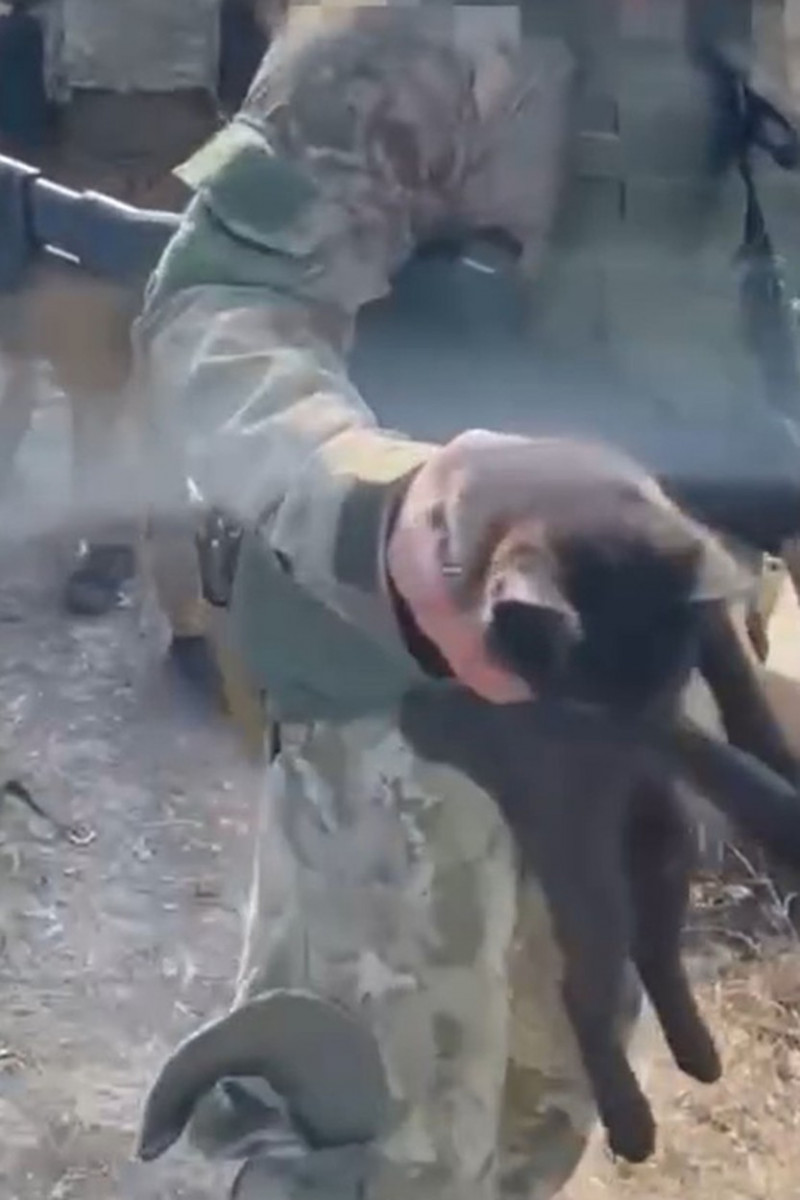 Ukrainian Troops Rescue Cat Stranded For Months On Snake Island