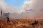 incendii lesbos profimedia-0709310227