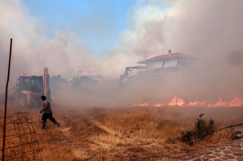 incendii lesbos profimedia-0709310227