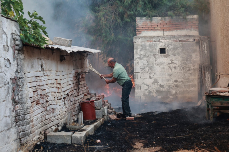 incendii lesbos profimedia-0709309604