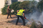 incendii lesbos profimedia-0709346566