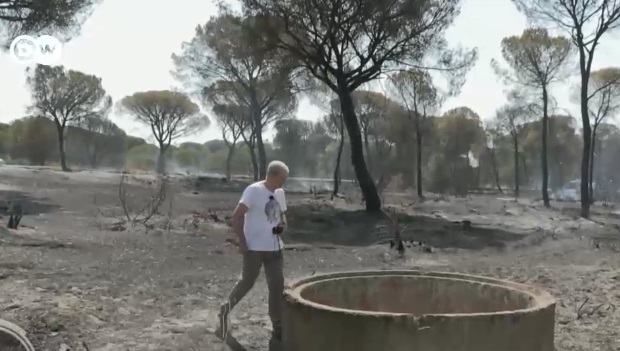Războiul pentru apă. Peste o mie de puțuri ilegale au fost forate în mijlocul unei păduri, autoritățile s-au făcut că nu văd