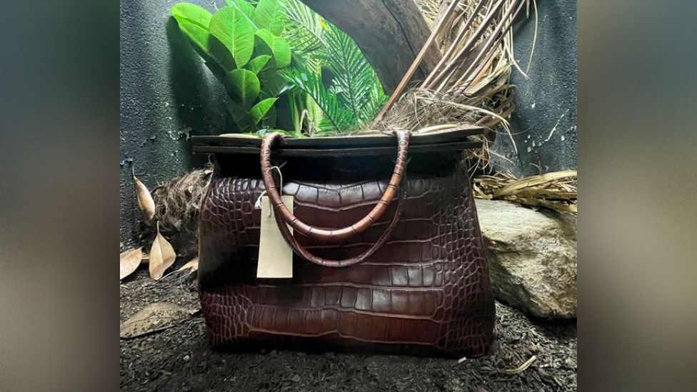 În locul crocodilului, la London Zoo a fost pusă o geantă din piele de crocodil. Povestea din spatele imaginii virale