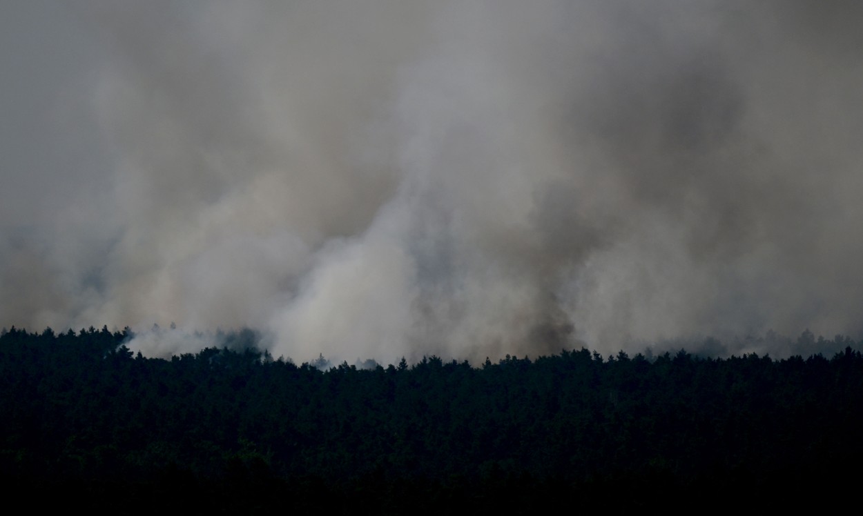 O explozie la un depozit de muniție a declanșat la Berlin un incendiu de pădure greu de controlat
