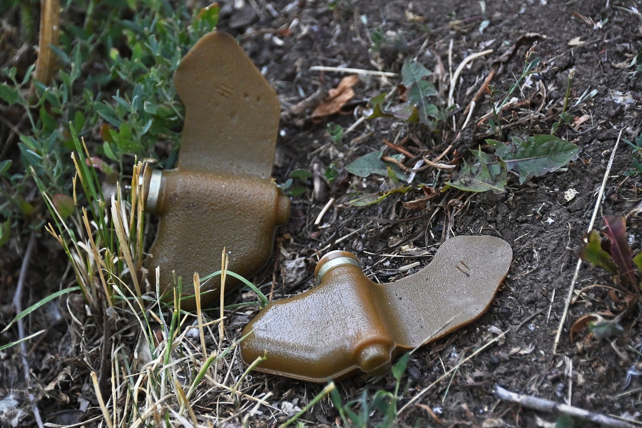 O suprafață similară cu a Muntenegrului nu poate fi locuită Ucraina din cauza minelor și a explozibililor