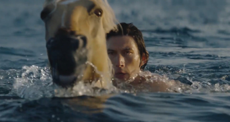 adam driver burberry captura 4