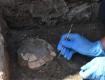2,000-year-old tortoise and its egg discovered beneath workshop in Pompeii - Italy