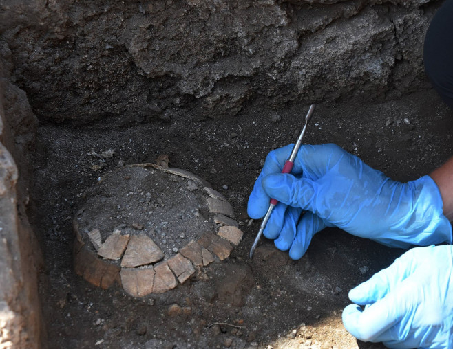 2,000-year-old tortoise and its egg discovered beneath workshop in Pompeii - Italy