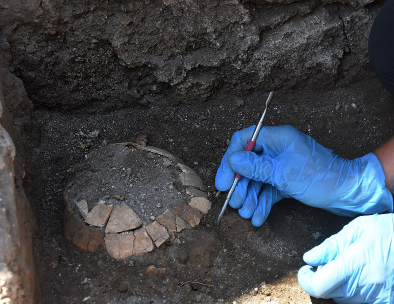 2,000-year-old tortoise and its egg discovered beneath workshop in Pompeii - Italy