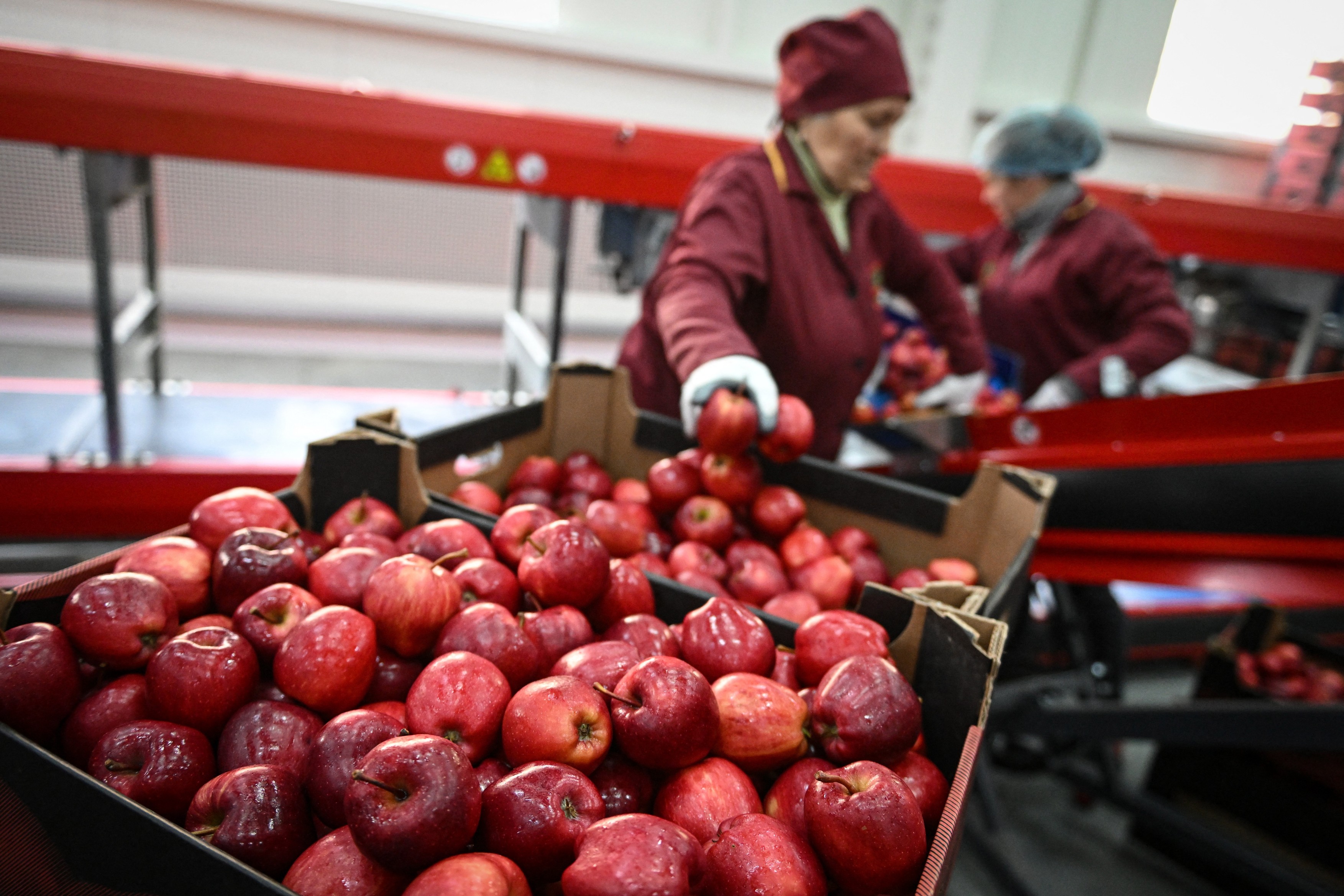 Rusia impune embargo asupra produselor agricole din Republica Moldova