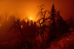 incendiu-california-profimedia10