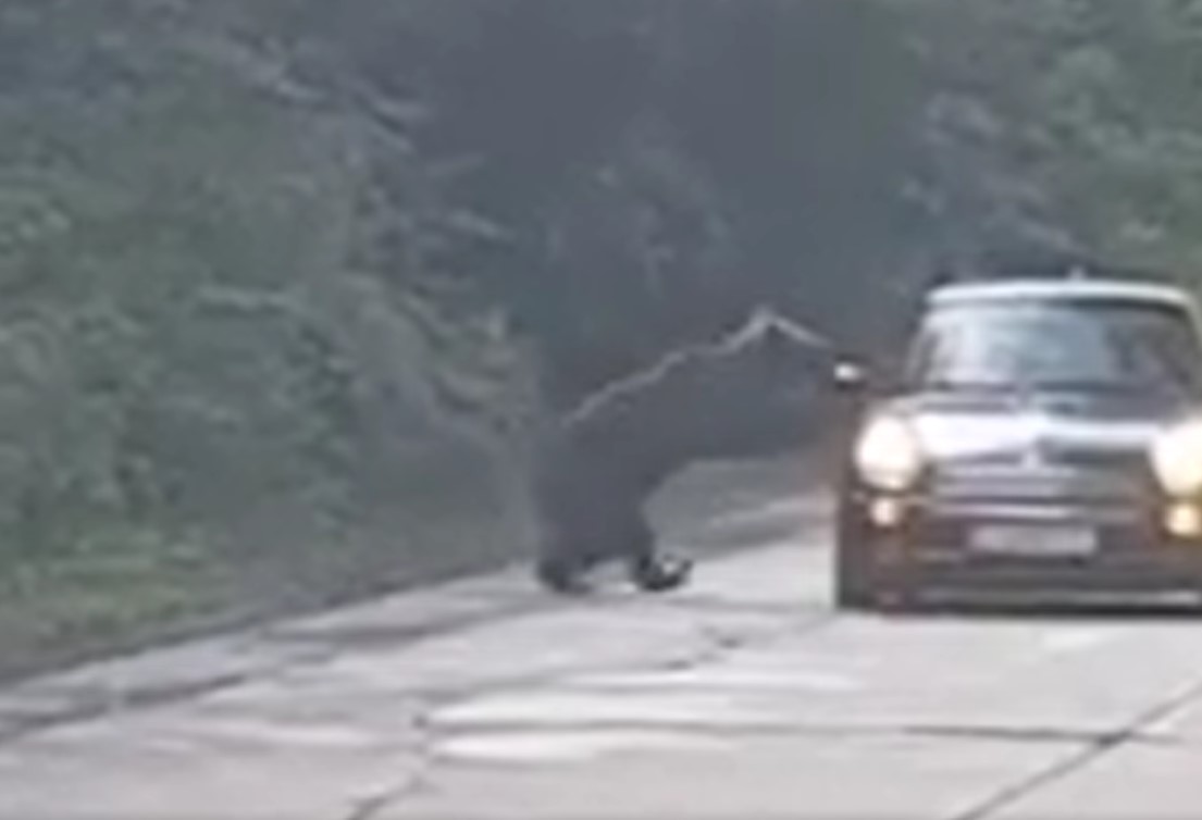 Interdicţie de a mai vizita Lacul Sfânta Ana şi Tihovul Mohoş pentru cei prinşi că hrănesc urşii