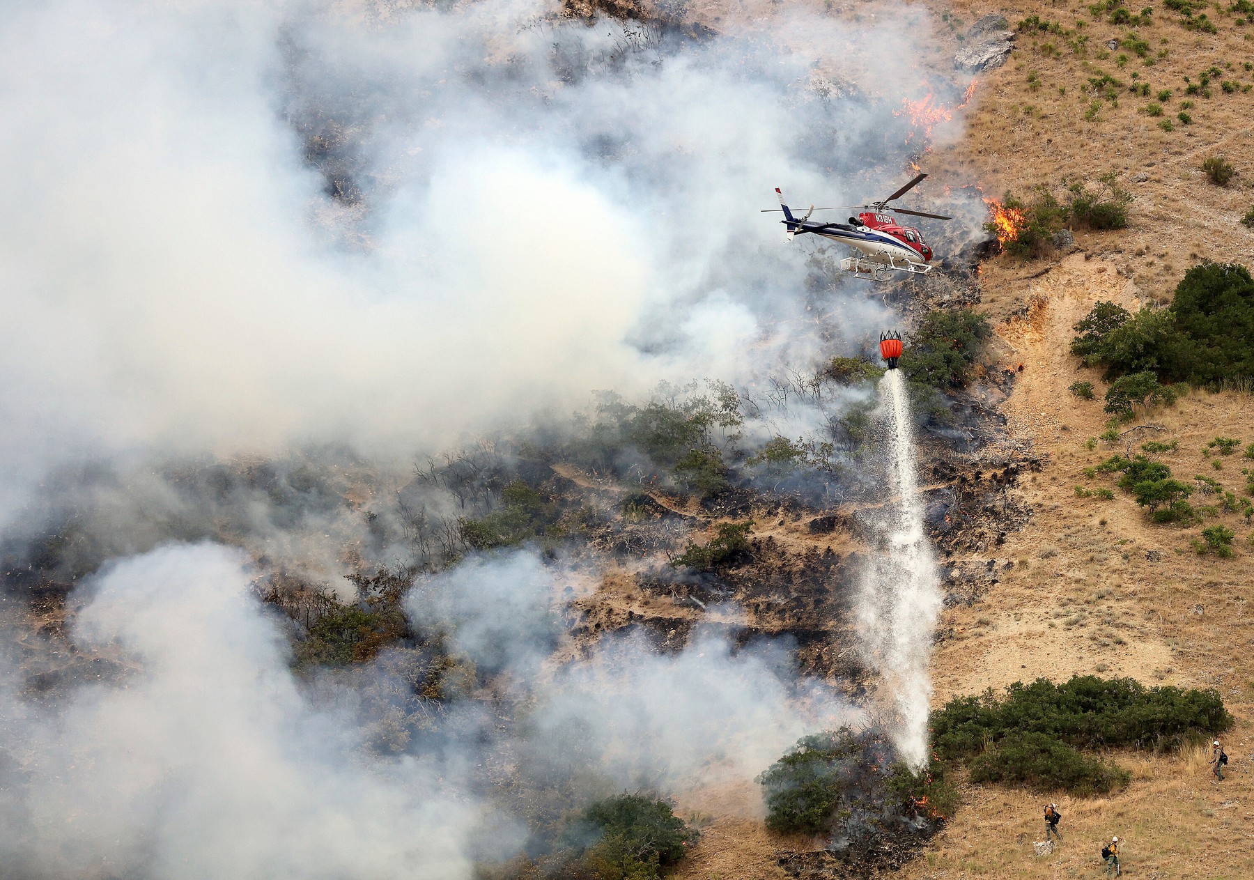 Un bărbat a pornit un incendiu de vegetație încercând să dea foc unui păianjen. Acesta a fost prins și cu droguri