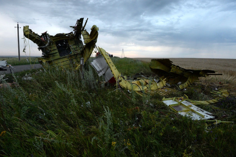 Malaysia Airlines Flight MH17 Crash