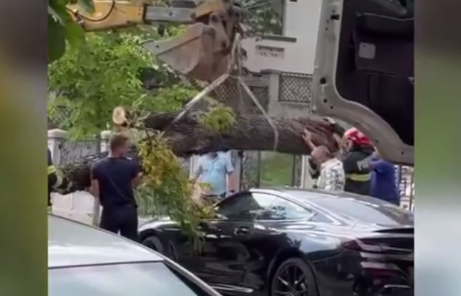 VIDEO. Un BMW avariat de un arbore căzut, distrus mai rău de echipele de intervenție