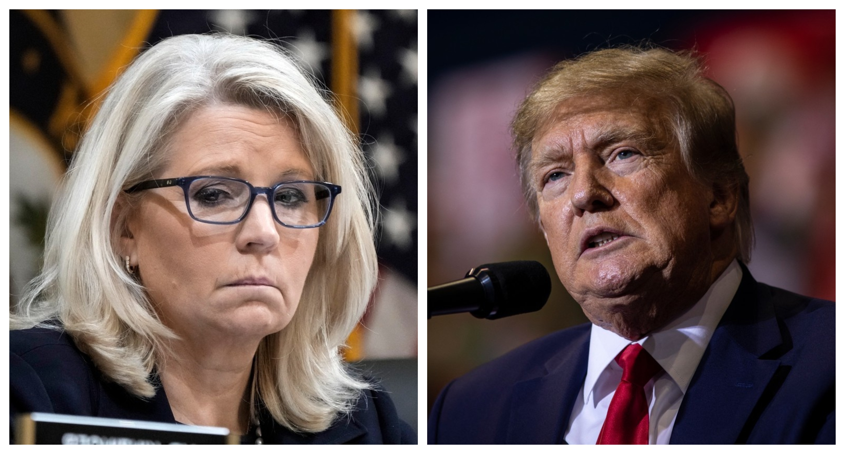 Principalul inamic al lui Trump din partidul Republican a pierdut alegerile din statul Wyoming în fața protejatei fostului președinte