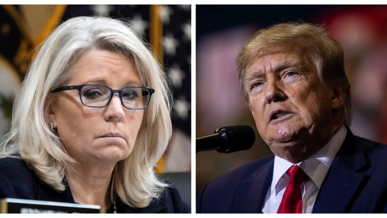 Liz Cheney și Donald Trump