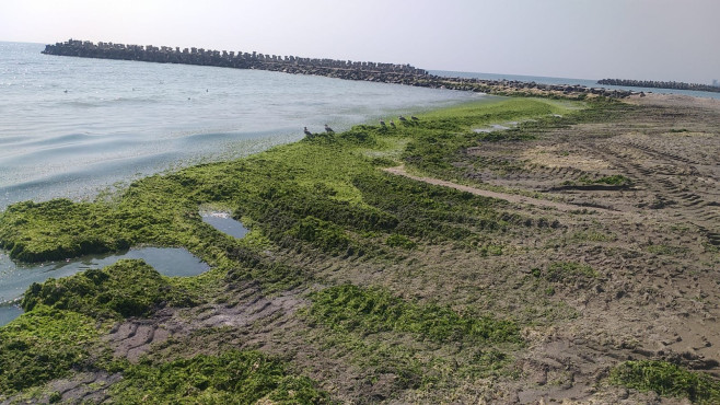 alge-litral-fb-apele-romane