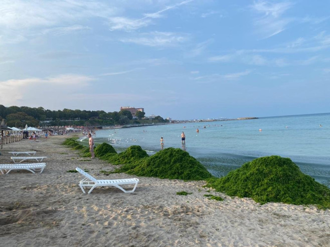 alge-litral-fb-apele-romane2