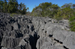 Small Tsingy, Tsingy de Bemaraha National Park, UNESCO World Heritage Site, Melaky Region, Western Madagascar, Africa