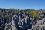 Tsingy de Bemaraha National Park, UNESCO World Heritage Site, Melaky Region, Western Madagascar, Africa