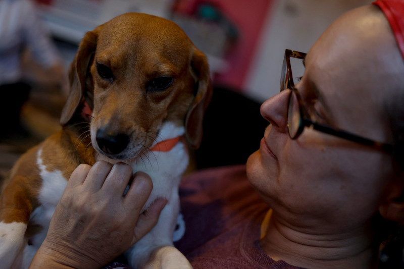 Beagle operațiune de salvare