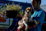 Beagle operațiune de salvare