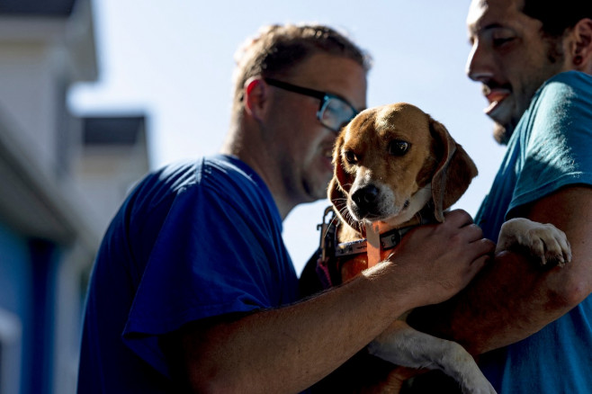 Beagle operațiune de salvare