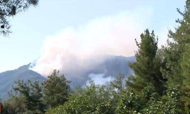 Incendiu în Thassos. MAE: Nu am primit la ambasadă cereri de asistență din partea românilor
