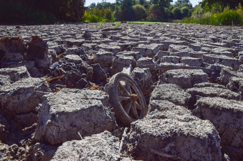 Views Of Wanstead Park As Drought Declared In England