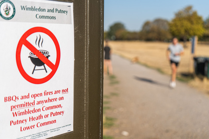 Seasonal Weather, Wimbledon Common, London, United Kingdom - 12 Aug 2022