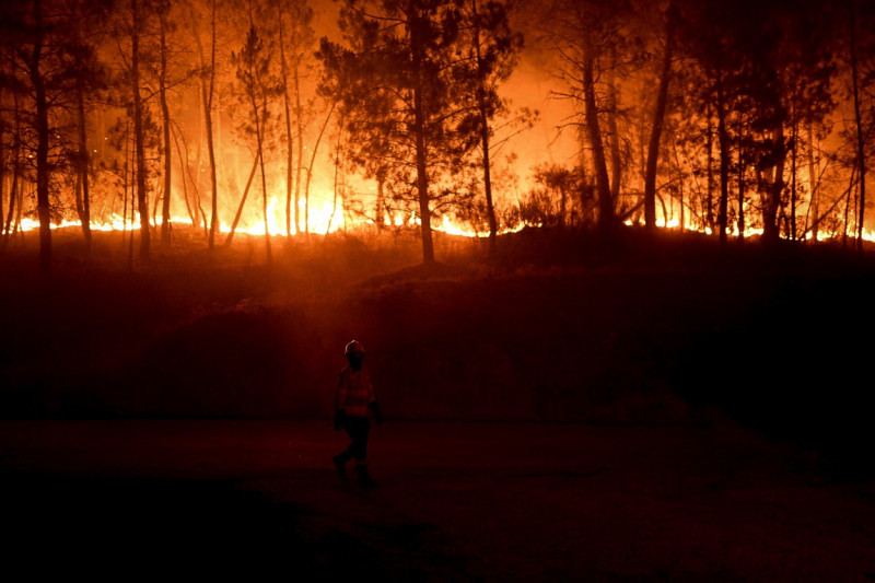 profimedia-incendiu portugalia 2