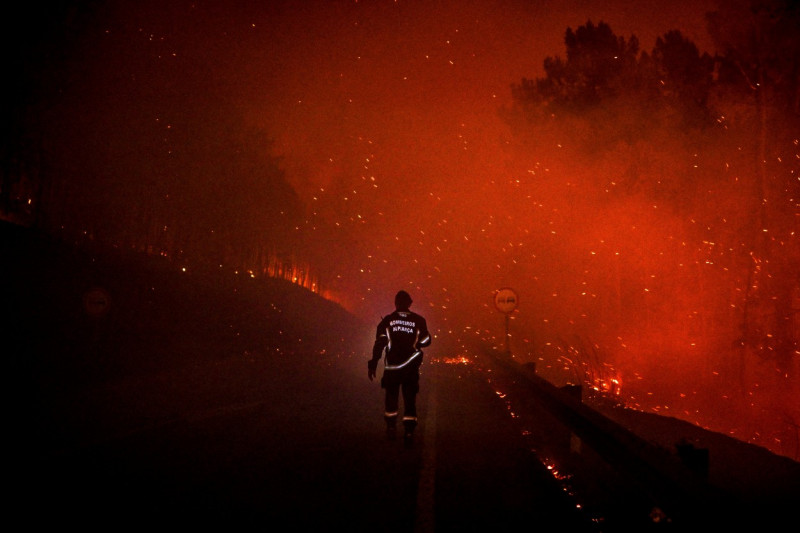 profimedia-incendiu portugalia 3