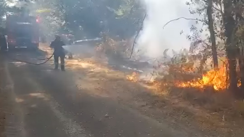 Pompieri români sting focul în Franța.