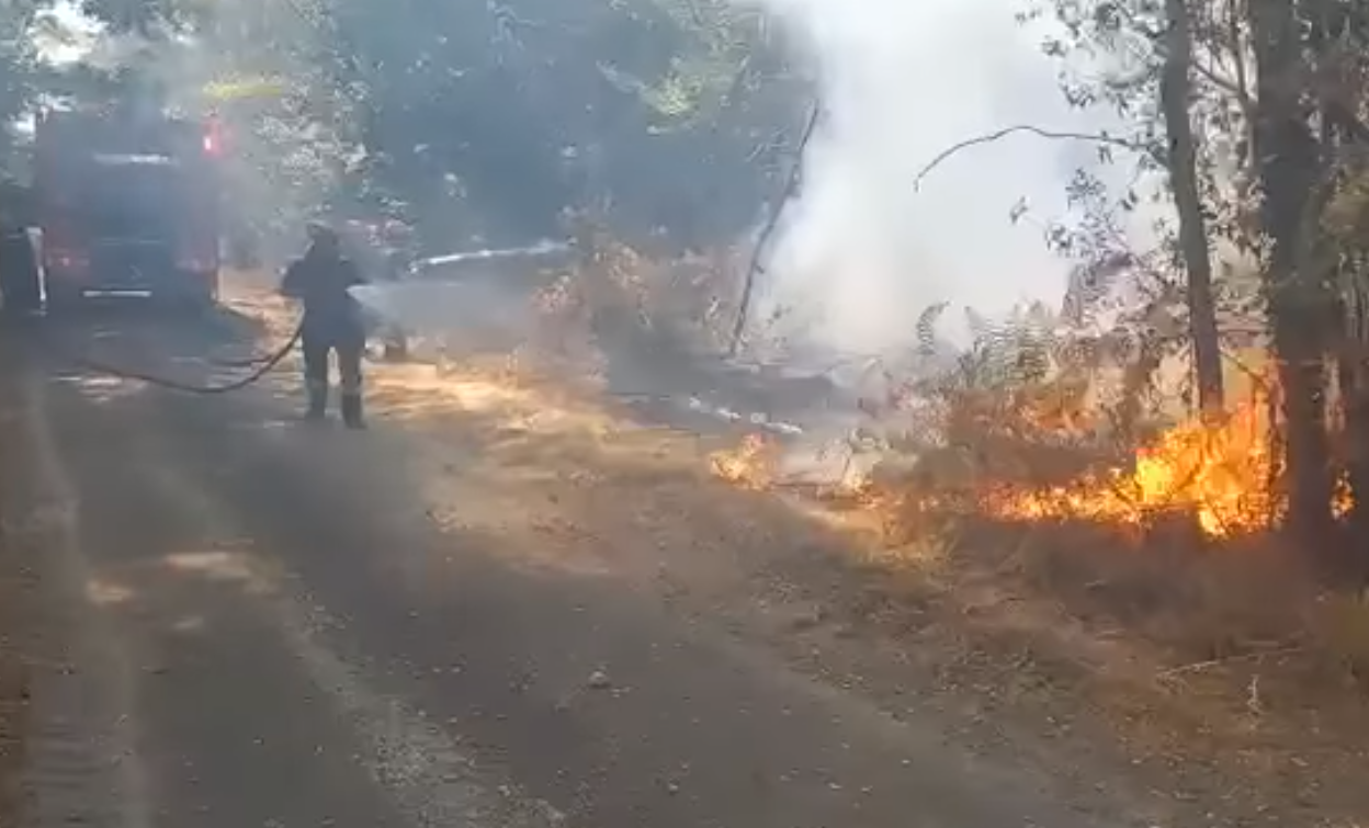 VIDEO. IGSU: Pompierii români au început să lupte cu focul în sud-vestul Franţei