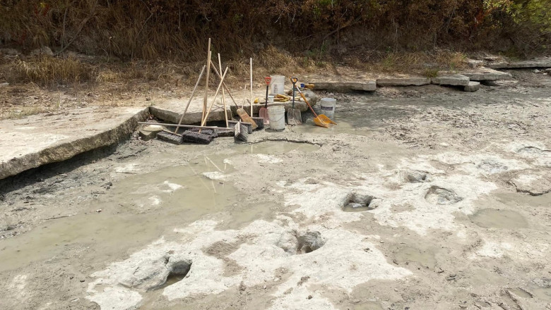 Urme de dinozaur, vechi de 113 milioane de ani, au ieșit la iveală în albia unui râu secat din Texas