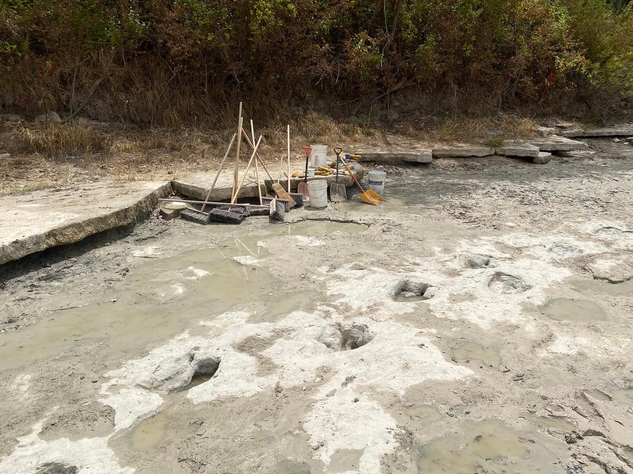 Urme de dinozaur, vechi de 113 milioane de ani, au ieșit la iveală în albia unui râu secat din Texas
