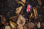 Marea Britanie a intrat într-o „toamnă falsă”