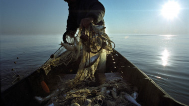 pesti prinsi in plasele pescarilor