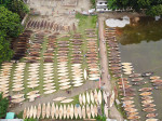 Largest Boat Market in BANGLADESH