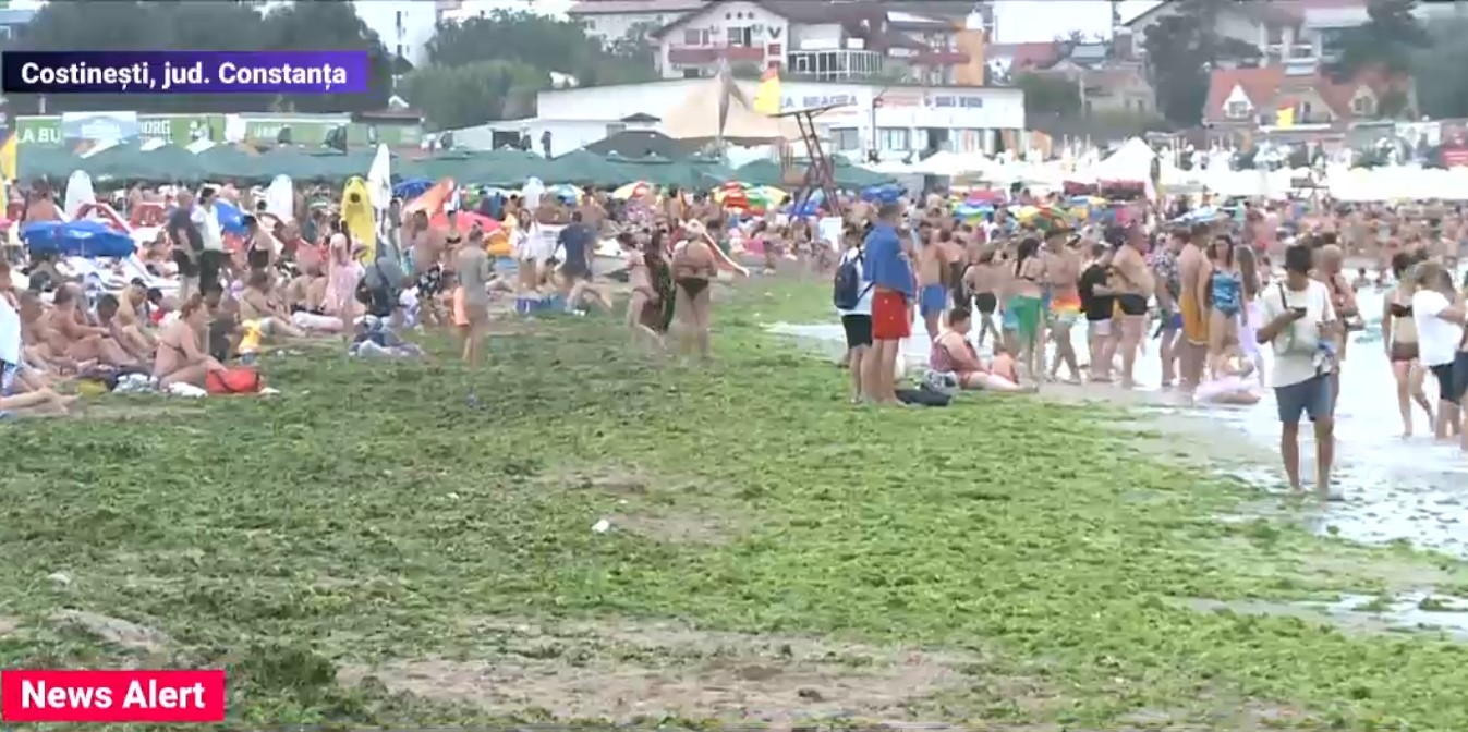 VIDEO. Este invazie de alge pe litoral. Cum arată acum plaja din Costinești