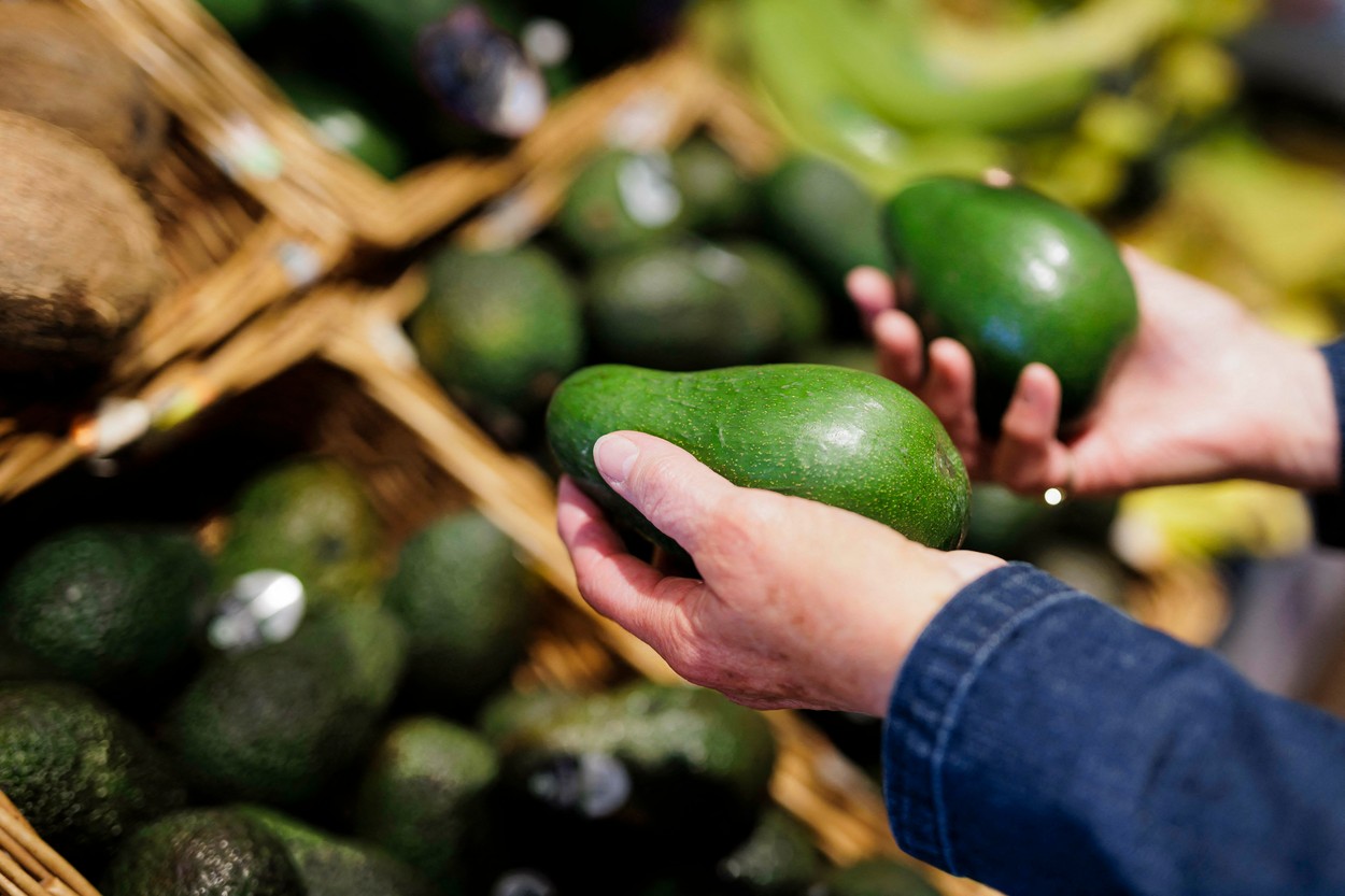 Din cauza verilor fierbinți, în grădinile din Marea Britanie se cultivă fără probleme smochini, avocado și citrice