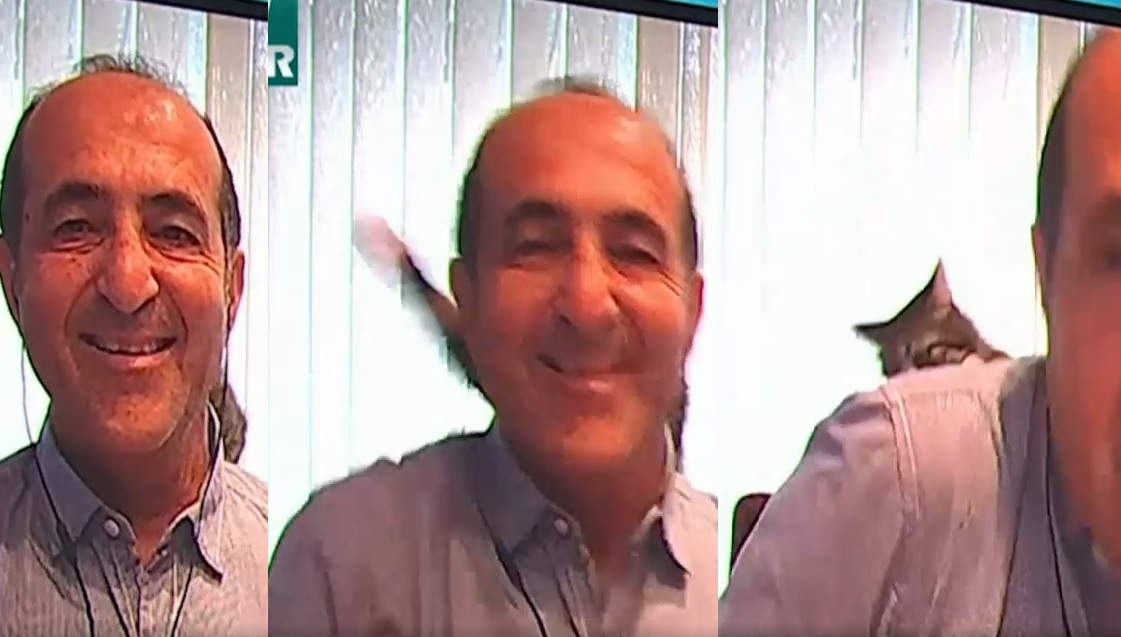 VIDEO. Jurnalist „pocnit” de pisică peste ceafă, în timpul unei intervenții la televiziune