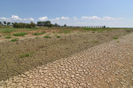 China: Summer Drought In China