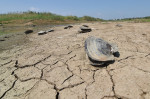 China: Summer Drought In China