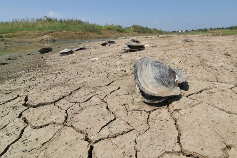 China: Summer Drought In China