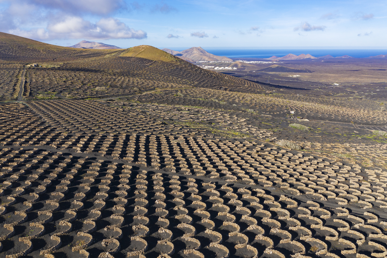 Ce se ascunde în gropile săpate în cenușa vulcanică de pe Lanzarote, „Insula de Foc”