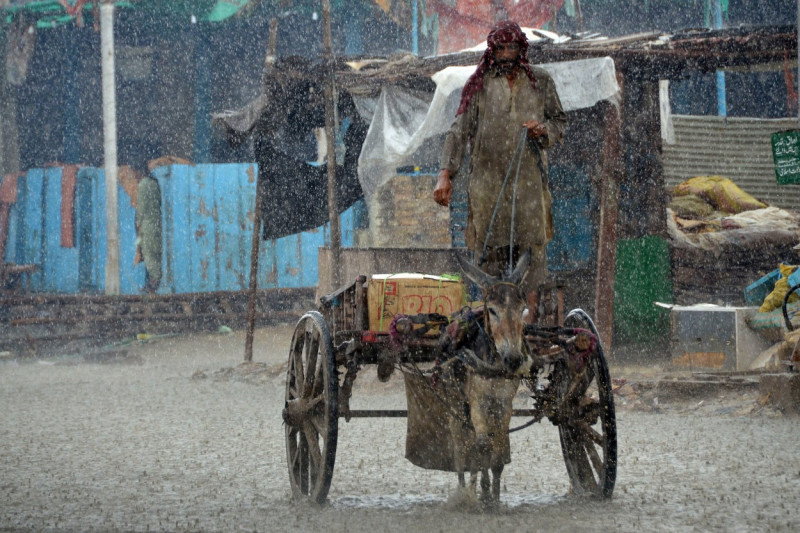 inundatii pakistan (11)